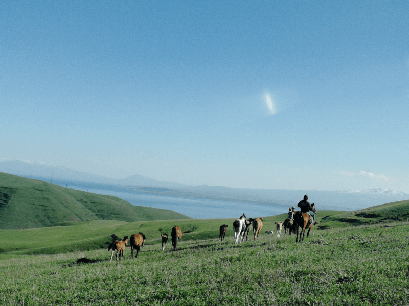 EXCLUSIVE TOURS Horse Riding tour
To all horse riding enthusiasts and those who have never sat in a saddle, we offer horse riding tours in the picturesque surroundings of the Tsaghkunk village. Newbies
and experienced riders will appreciate the ride among the exciting
spirit of mountain landscapes. You will feel an adrenaline rush and tranquility from a single
relationship with nature.
You can learn to ride at any age you and your children will always fall in love with this type of tourism and, once having been here, you
want to come back.